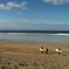Newquay Surfers
